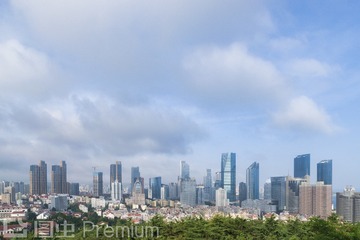 _DSC2301