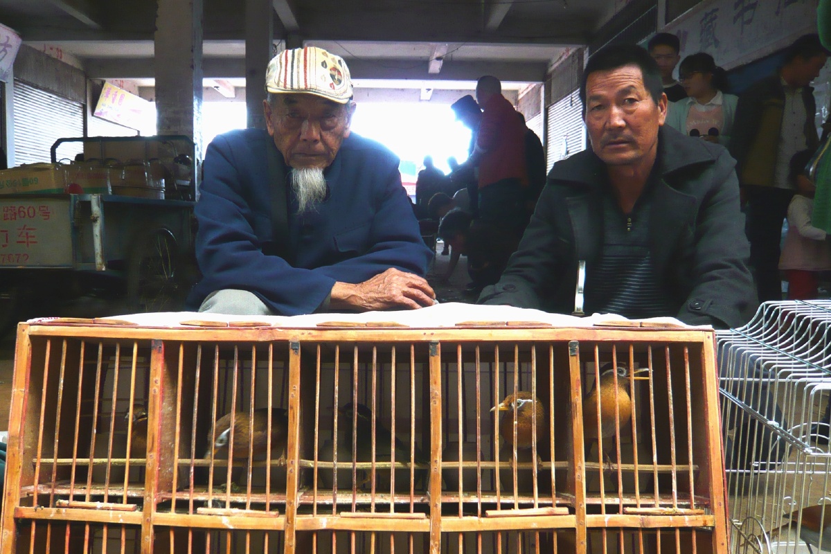 农贸市场 - 云南, 城市, 街拍, 百姓生活街头纪