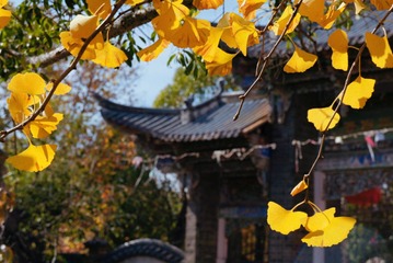 DSC05144_副本_副本