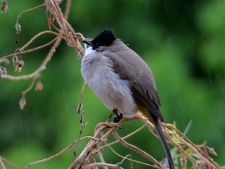 IMG_0021_