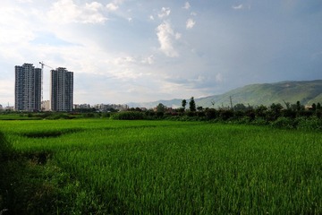 IMG_1300_