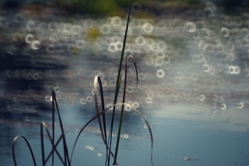 DSC00454_