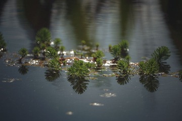 DSC00455_