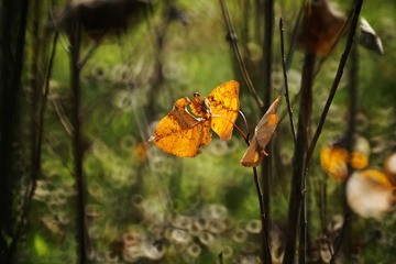 DSC00032_