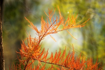 DSC01717_