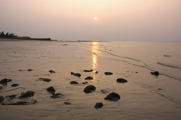 DSC07230_