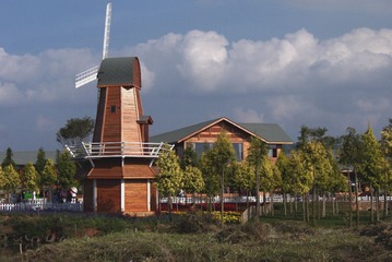 20000