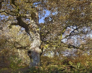 DSCN6504_