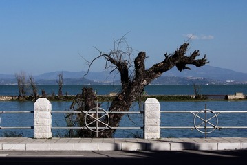P1040469_