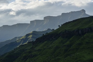 06