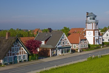 IMG_2557_