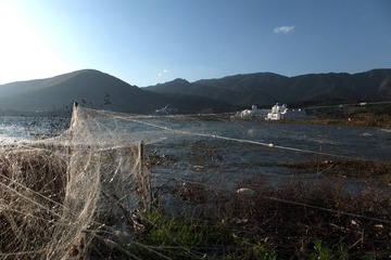 DSCF5168_