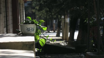 IMG_2599_