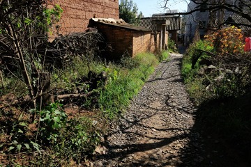 IMG_2577_