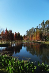 DSCF5232_
