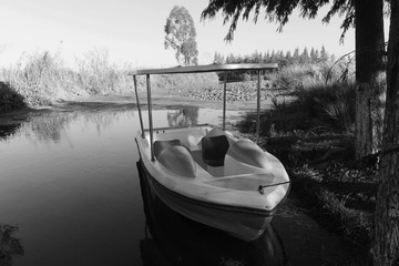 DSCF5223_