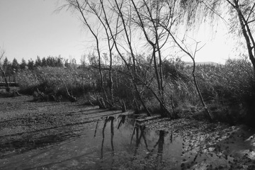 L1130124_