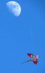 IMG_0522_