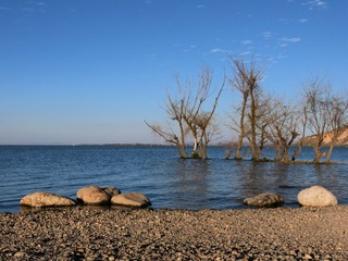 IMG_2824_