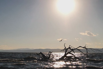 P1080077_