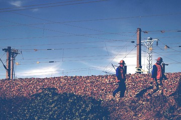 P1200216_1