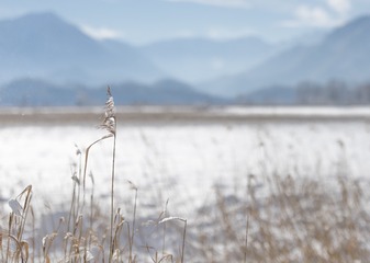 L1130155_