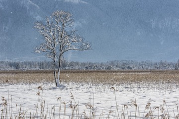 L1130201_