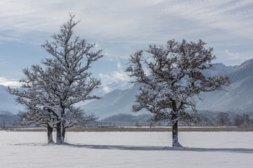 L1130208_