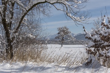 L1130215_