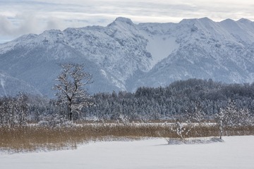 L1130218_