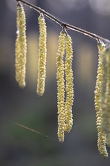 DSC00247_