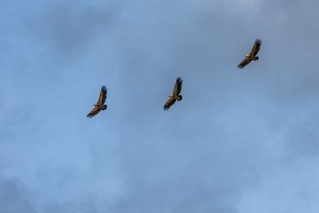 DSC00252_