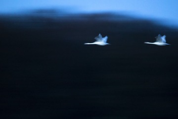 DSC00264_