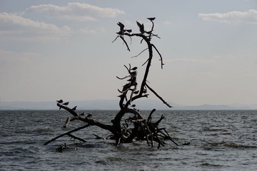 DSC00456_