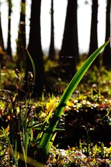 DSC00418_