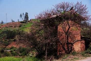 DSC07140_