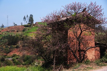 DSC07140_