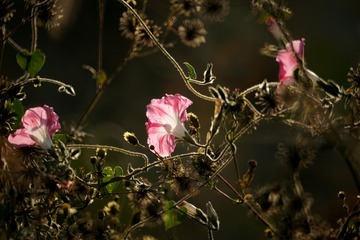 DSC00116_