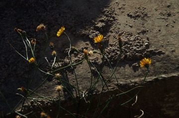 IMGP0272_