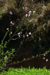 IMG_2951_