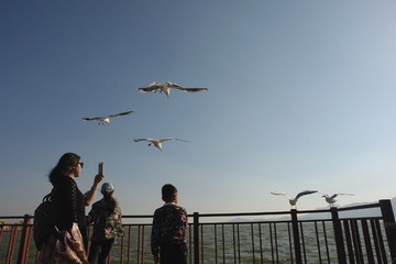 DSC00036_
