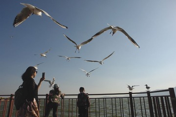 DSC00037_