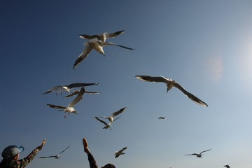 DSC00043_