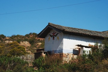 DSC00842_