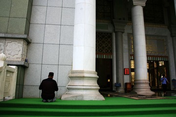 IMG_8524_