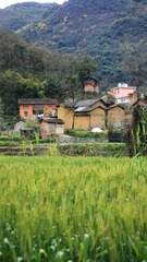 IMG_8603_