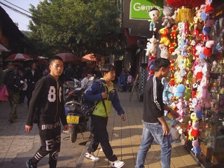 IMGP4378_