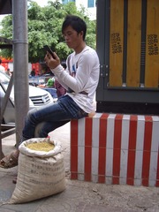 IMGP4395_