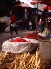 IMGP4425_