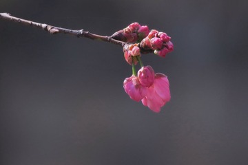 IMG_3167_